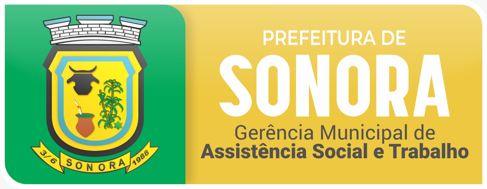 Conhe A Os Candidatos Ao Conselho Tutelar C Mara Municipal De Sonora